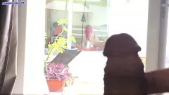 play التجسس على الجيران المثليين مشبع بالبخار يجعلني أقبض على الاستمناء